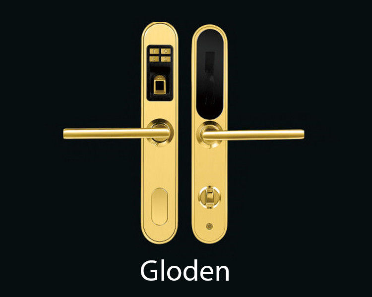 Intelligent Apartment Door Locks Fingerprint Super Durable For House