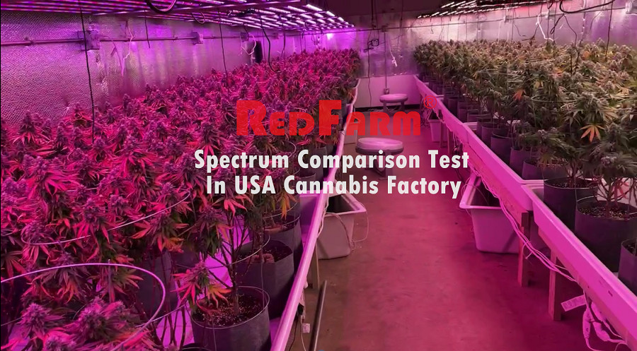 800W 8Bars Horticulture LED Grow Light Osram 660nm For Indoor Hydroponics Garden