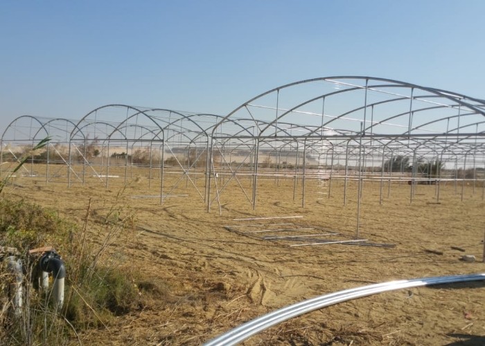 Wave Plate Heavy Duty Polytunnel Plastic Head Roof Yellow Film Vegetable Growing