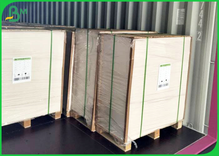 Grade AAA FBB Board 250gsm - 450gsm 70*100cm GC1 Paper Board For Printing
