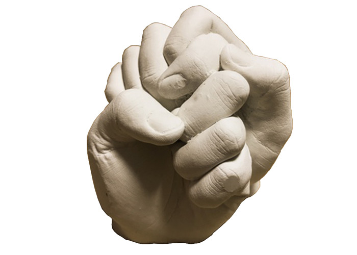 3D Life Couple Family Hand Casting Kit , White Alginate Keepsake Hands