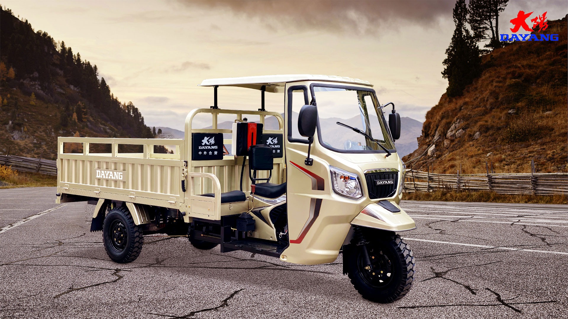 5.0-12 Tyre Bajaj Motorcycles Gas Cargo Trike Tuk Tuk for Transportation