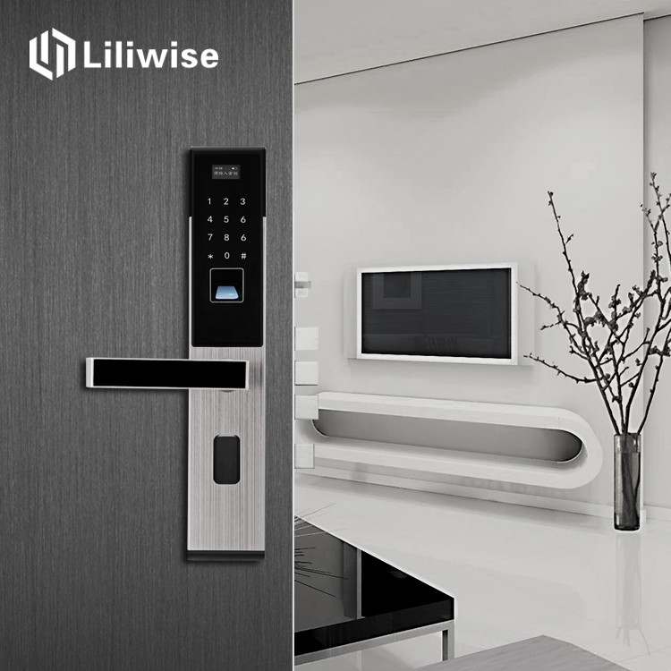 Combination Keypad Hotel Door Locks OLED Display With Password Card