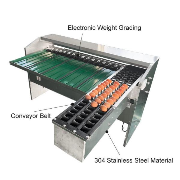 Automatic Egg Sort Grade Weighing And Sorting Egg Machine Egg Grading Process