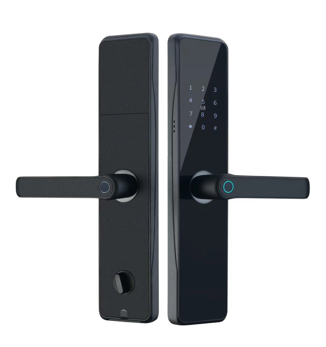 OEM ODM Push Pull Door Lock Digital Wifi Keyless Entry Door Lock