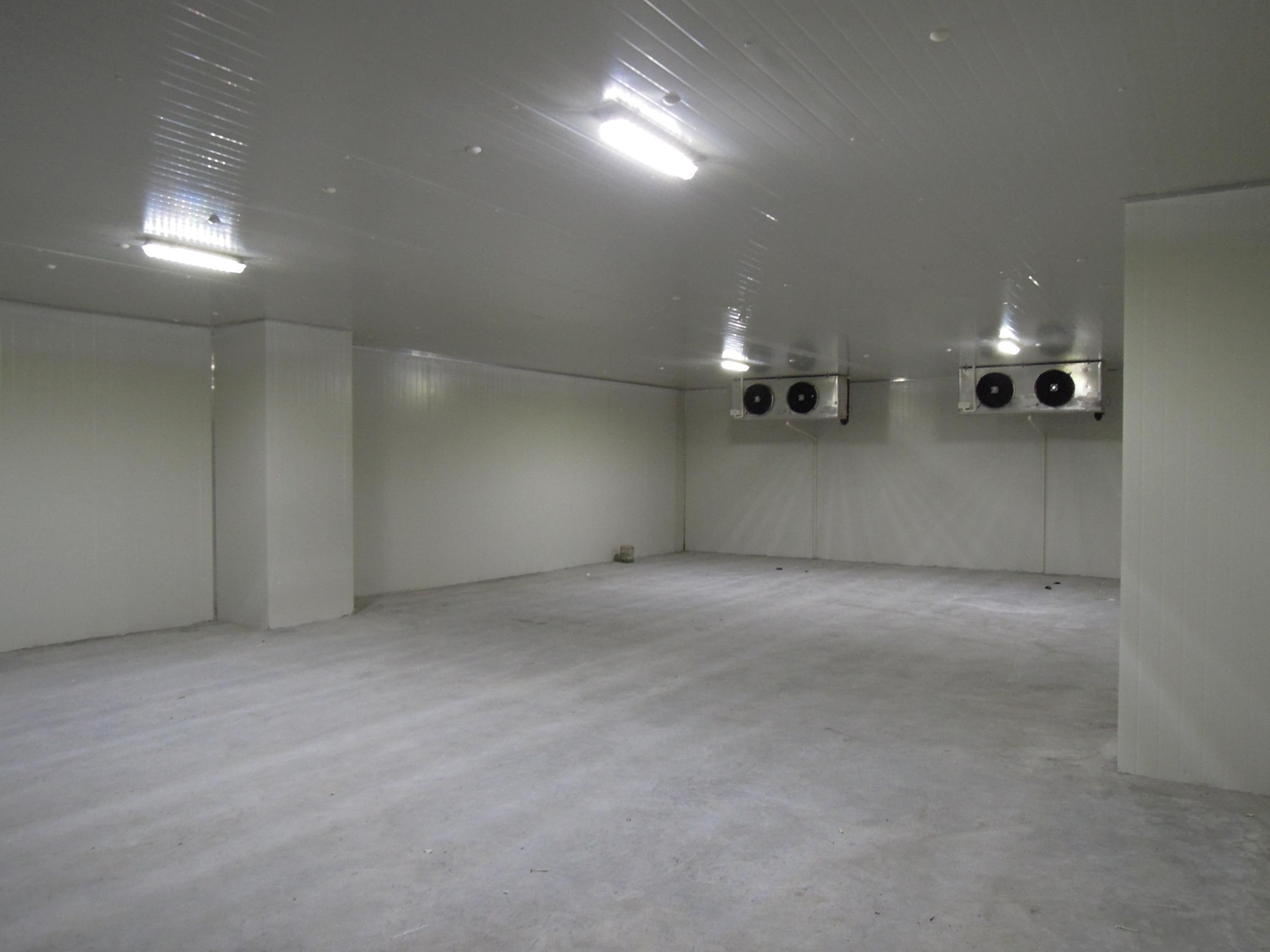 Fish Cold Room Freezer Room walk in chiller rooms