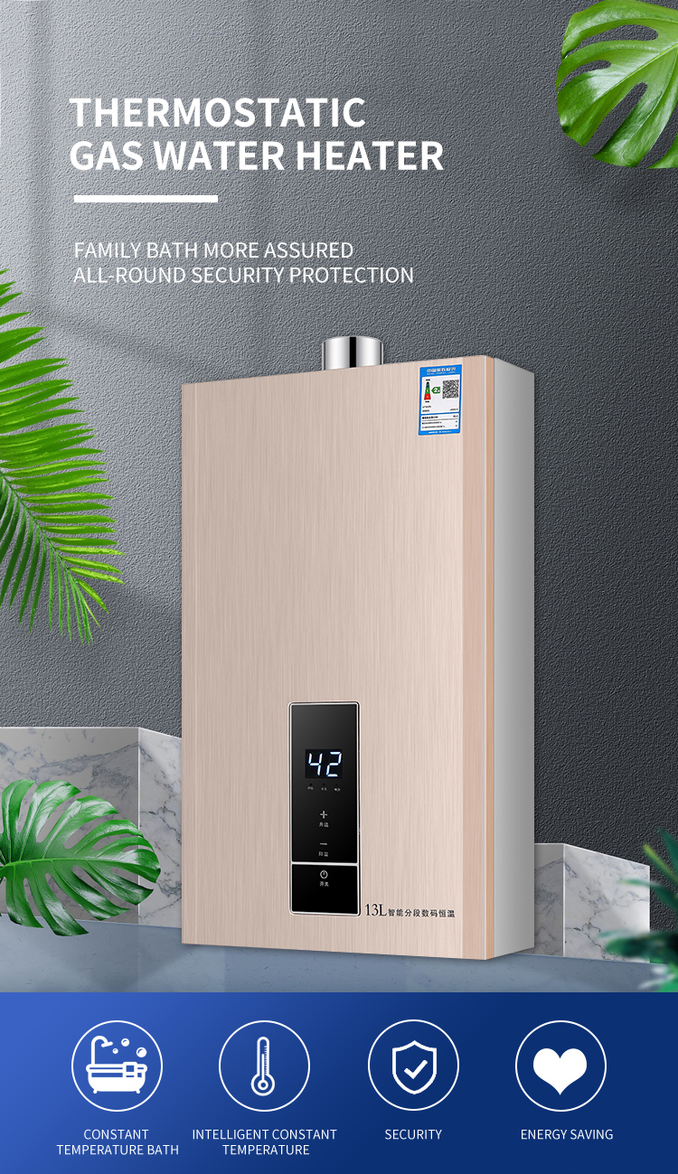 Instant LP Gas Hot Water Heater For Bathroom 220V