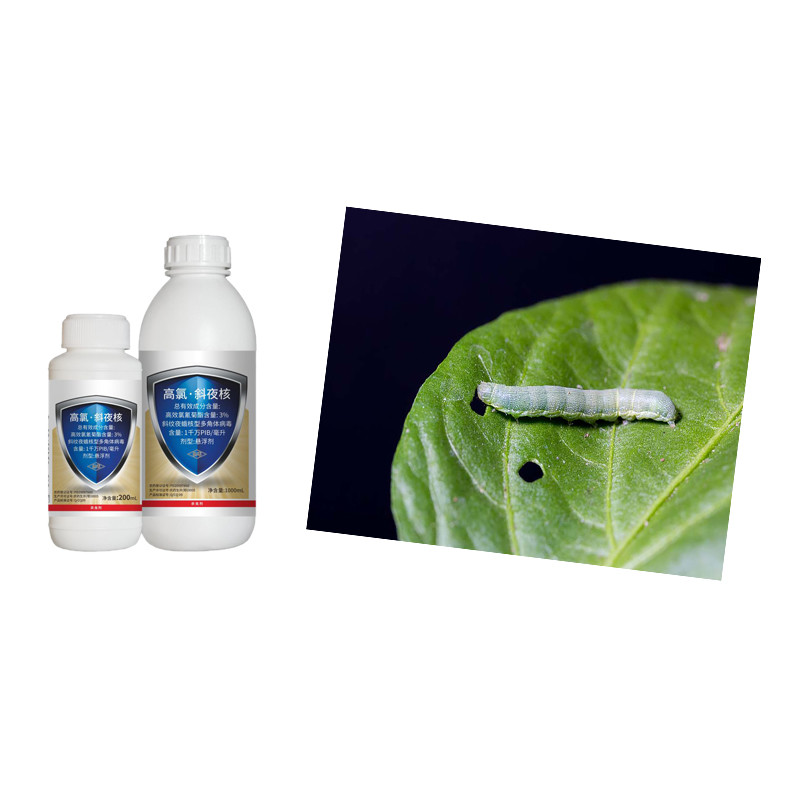 Unioasis Natural Vegetable Insecticides onion thrips control pesticide SINPV + 3% Beta Cypermethrin