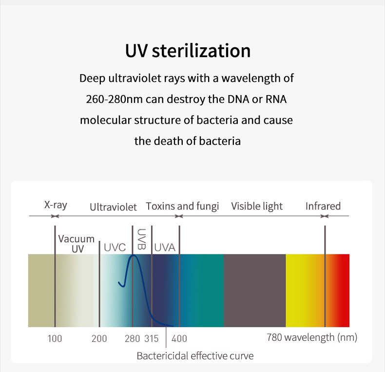 portable uv lamp