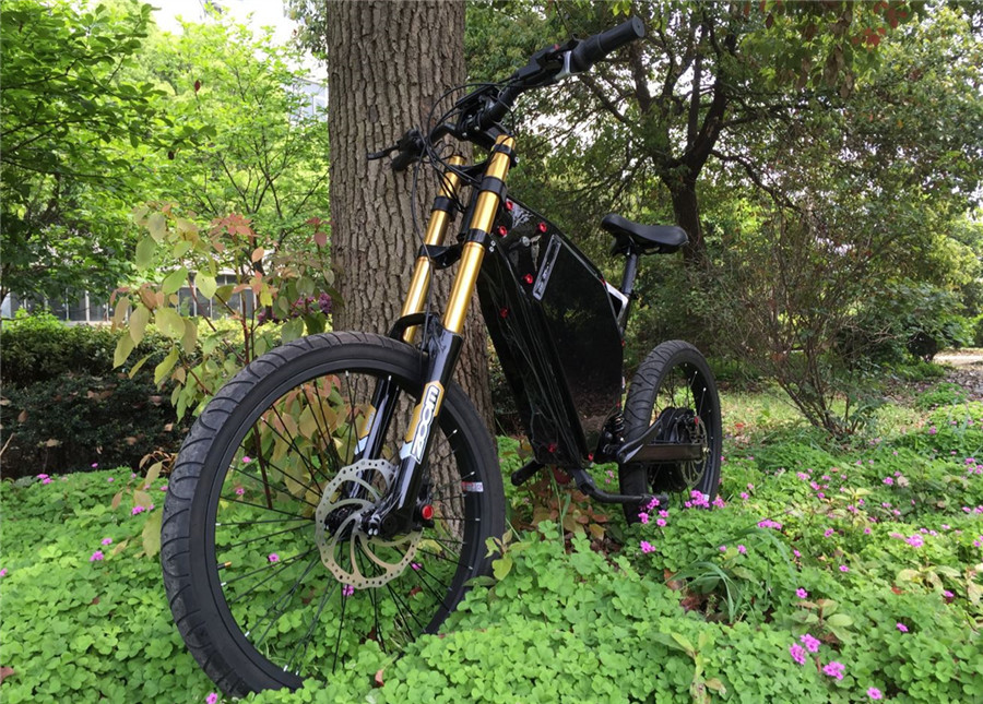 High Speed 1000w Mens Powerful Electric Bike Bicycle 48V 60-100km Range