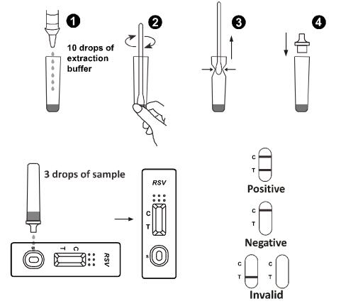 Respiratory Syncytial Virus RSV Rapid Test 15 Min Infectious Disease Test Kit