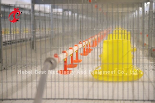45 Days A H Type Broiler Cage 25 Years Lifespan With Drinkers And Feeders Star