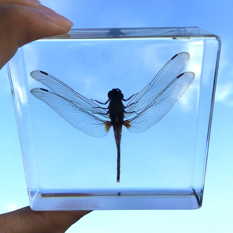 Artificial Transparent Flower Paperweight With Fragments / Chippings
