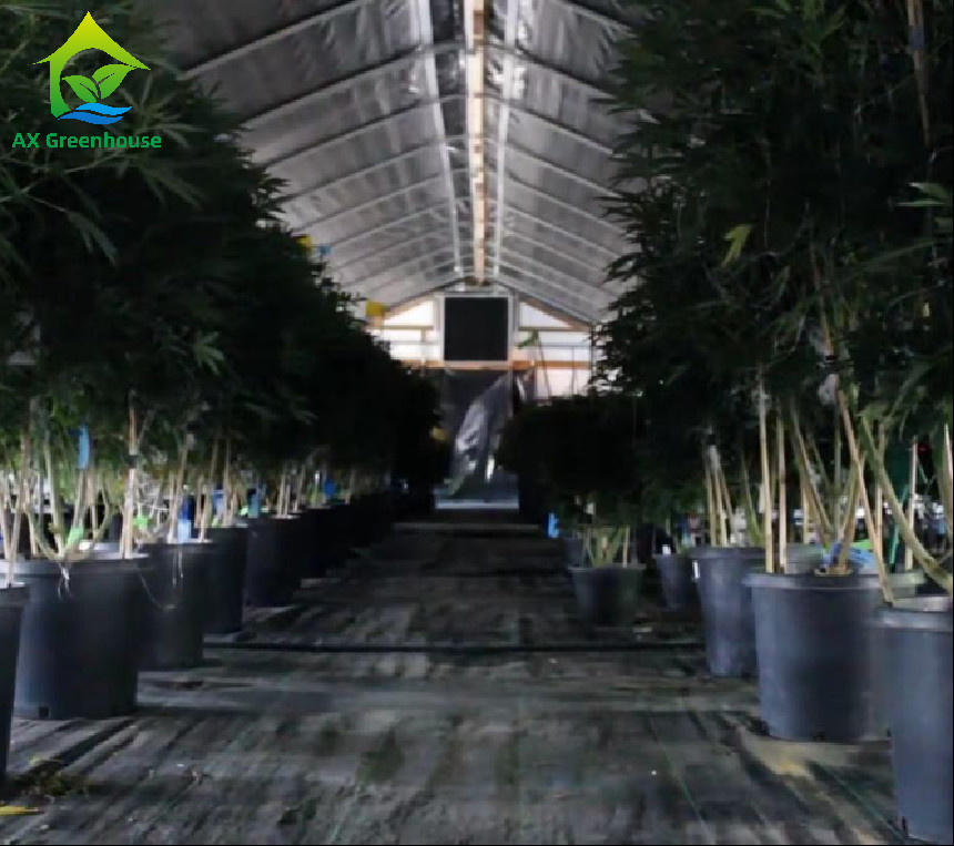 110V Hemp Light Deprivation Greenhouse Exterior Film Roll Blackout Greenhouses