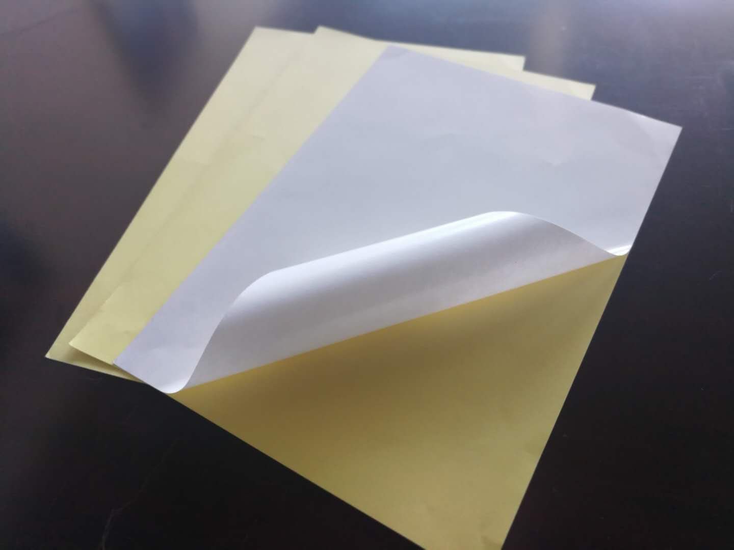 Hot Melt Adhesive Sticker Paper for Product Labeling and Branding