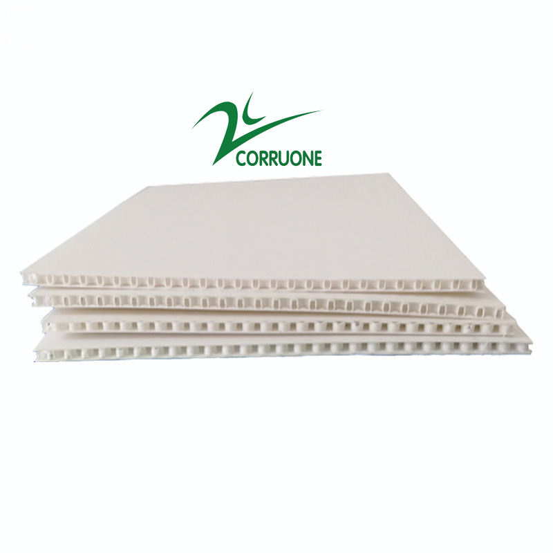 Mangosteen PP Corrugated Box Glossy Apple Coroplast Box Customized