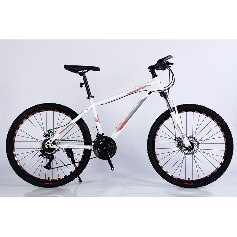 24 Inch Mountain Bike Tires with Fork Sus Fokr Lockable and Double Wall Rim Color Cnc