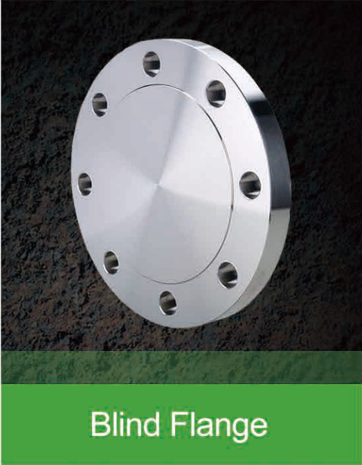 Stainless Steel SA-182 F 304 316 Pipe Flange Customized Size