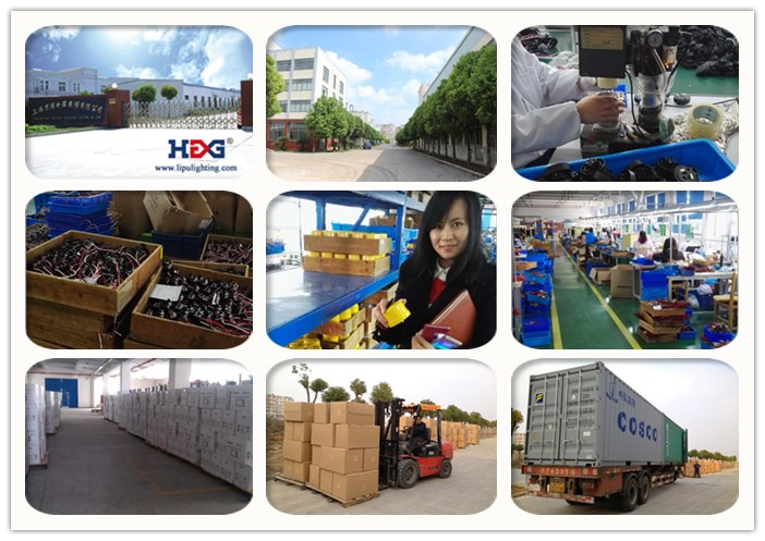 photo cell factory
