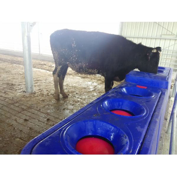 Heavy-duty Impact Resistant Polyethylene Livestock Auto Waterer with 140L Water Capacity and Integrated Heating System