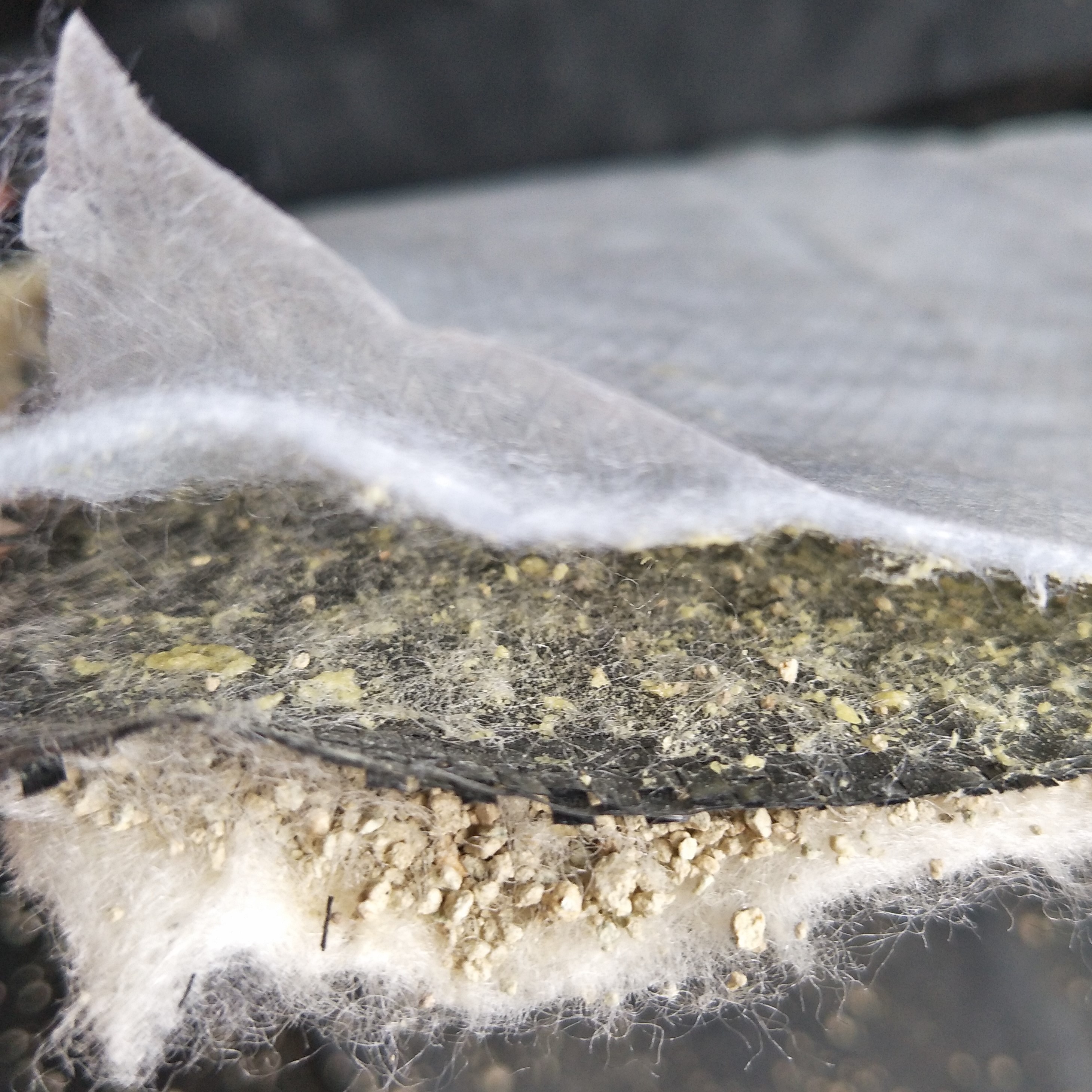 6000G/M2 Earthwork Application HDPE Membrane Coating GCLs Bentonite Waterproofing Blanket