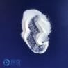 Buy cheap Ceramic Bead Blasting Effective Solution Abrasive Refractory Industry from wholesalers