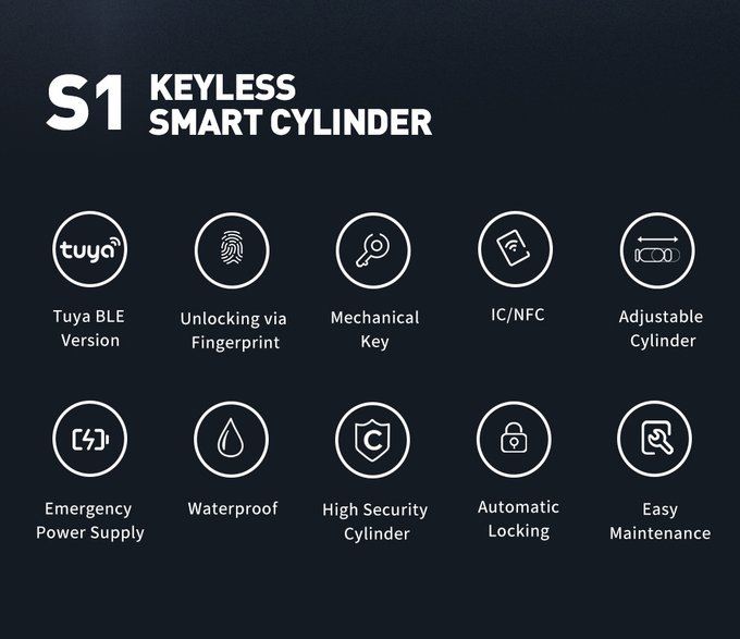 Tuya Ttlock Smart Cylinder Door Lock Biometric Euro Standard Electronic Fingerprint Smart Card Unlock