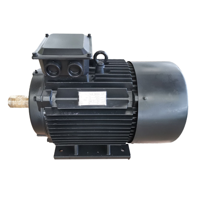 IP54 IP55 Renewable Energy Generator , 400V Permanent Magnet Electric Generator