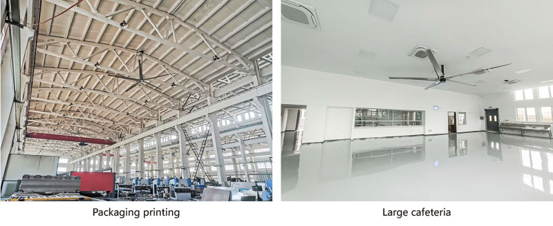Large  Industrial Ceiling Fans