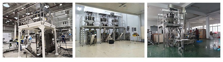 Finished Bag Small Incline 20m/Min Food Grade Conveyor