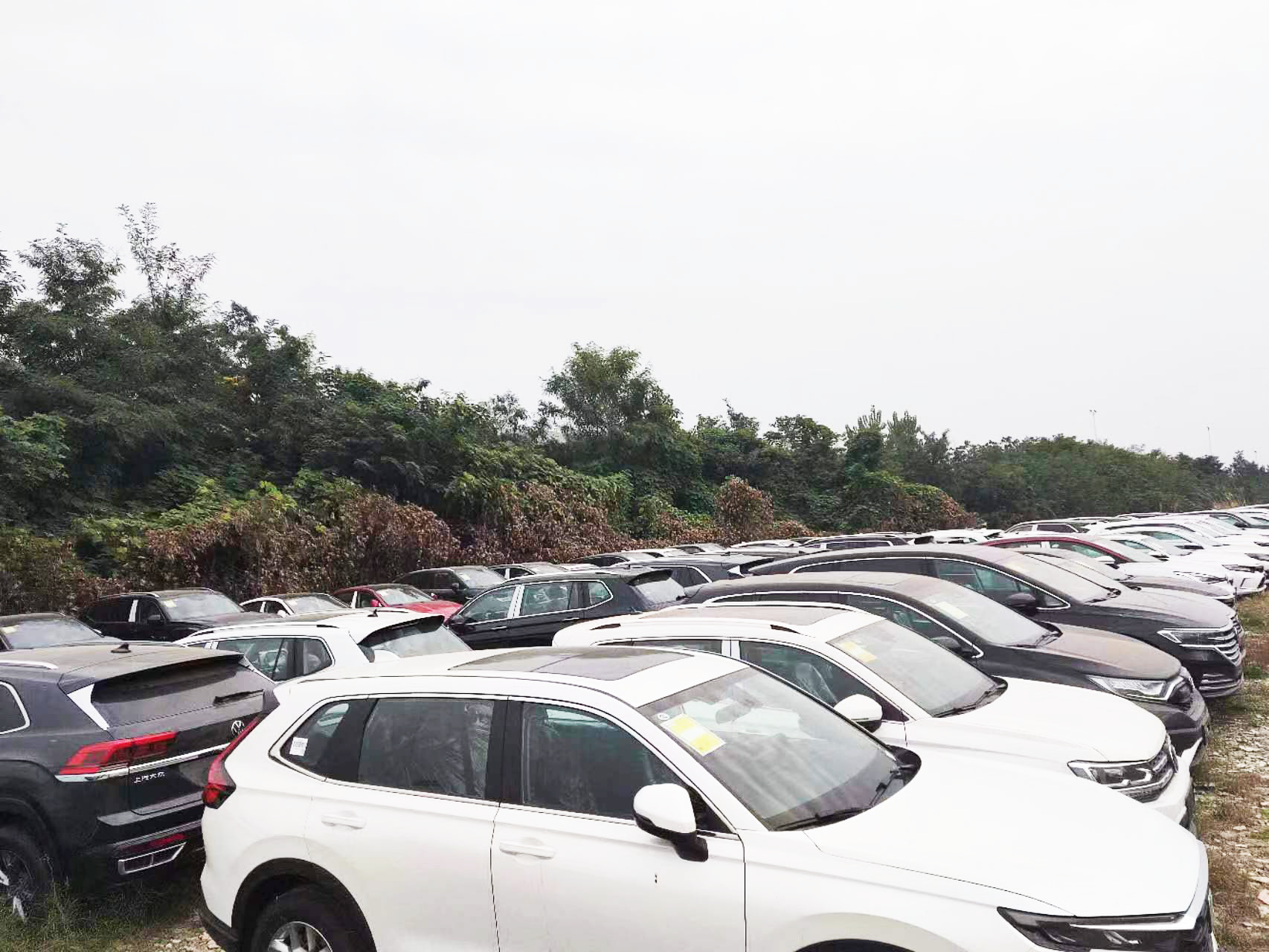 2023 New Energy Car 0KM Used HD ENS1 150KM/H Suv Electric Car Japanese Famous brand China Factory Price