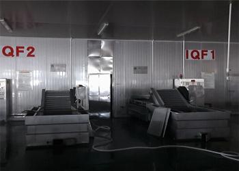 Xiamen Tongzhonghe Imp & Exp Co., Ltd.