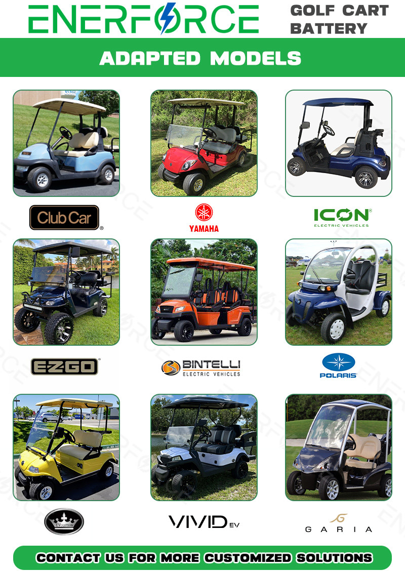Cycle 48V 100Ah Golf Cart Battery Lifepo4 Lithium Ion Phosphate Battery Pack