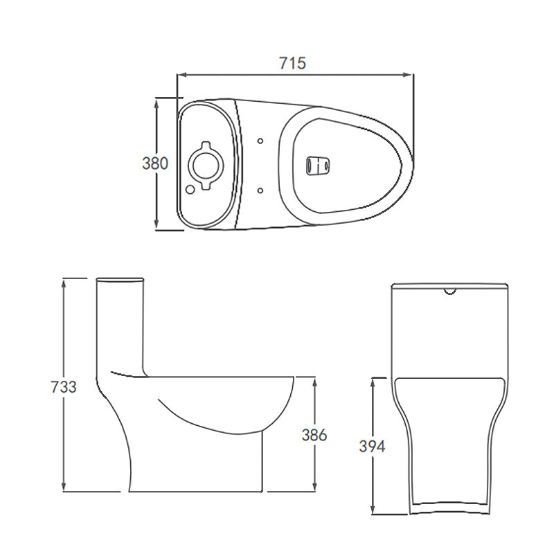 Sanitary Ceram Dual Flush 1 Piece Toilet Western 715×380×733mm