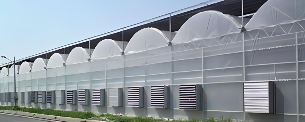 China Dual-Layer Film Greenhouse for Pepper Cultivation