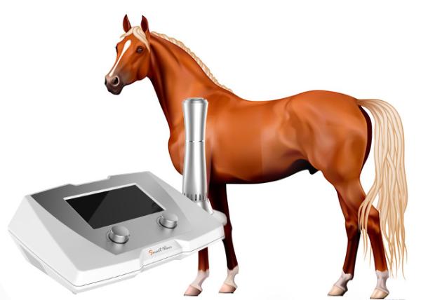 1 - 22 Hz Veterinary Medical Therapy Equipment Shockwave BS-SWT2X For Tendon