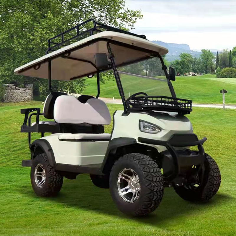 Utility Trucks With 2 Passenger And 48V 5KW AC Motor Journey Golf Cart Standing Postion of Tail Caddie Maximum Speed ≤30Km/h