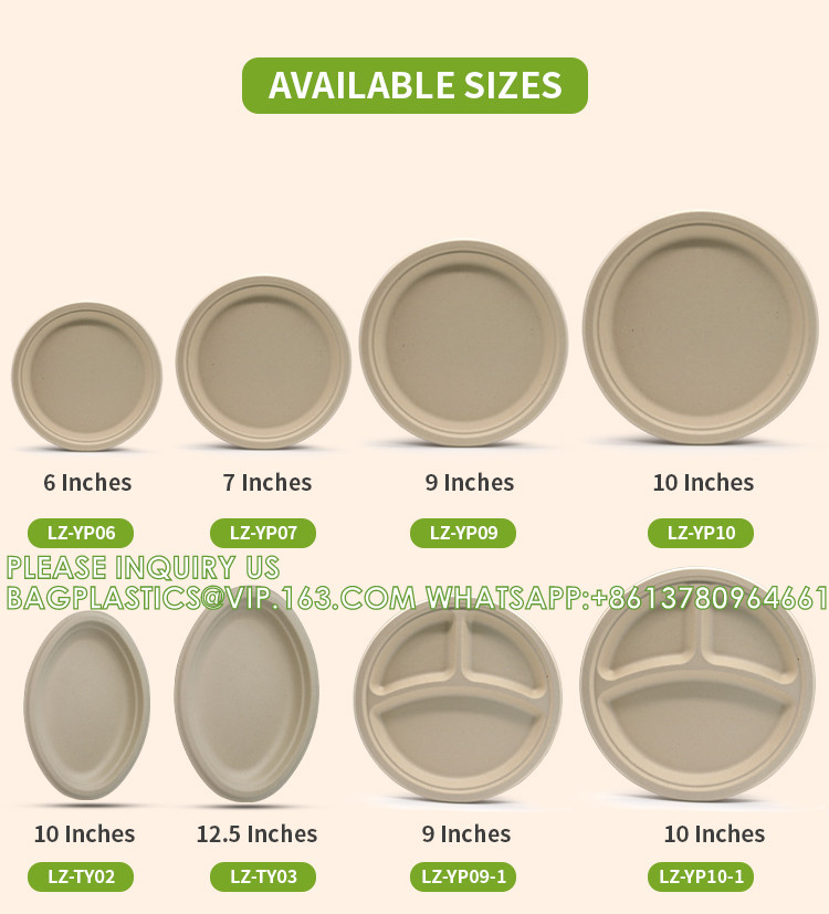 Eco-Friendly Wholesale Bio Disposable Sugarcane Food Container Snack Cookie Fruit Rectangular Plates