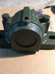 OEM Customized Services Pillow Block Bearing Housing UCP X00 Series