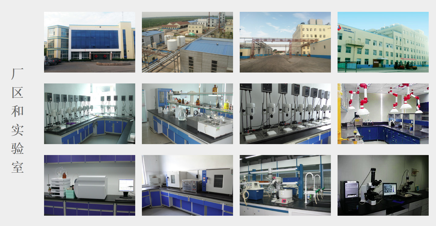 Textile Printing Thickener CMC CarboxyMethyl Cellulose Sodium
