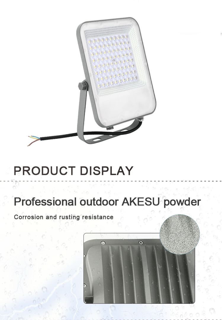 EMC Ip65 100w Led Flood Light 100lm/w 6500K For Sports Stadiums