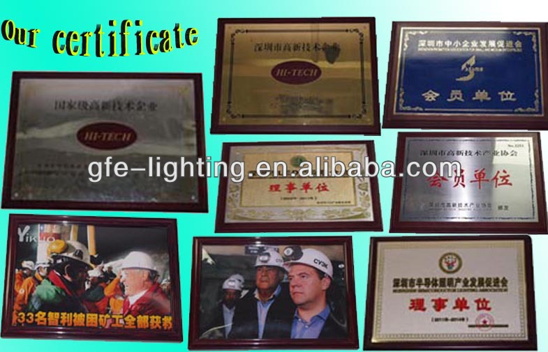 2021 New DL618 ATEX  40W 80W Offshore Oilfield  Explosion -Proof Light  Anti-hazard Lighting