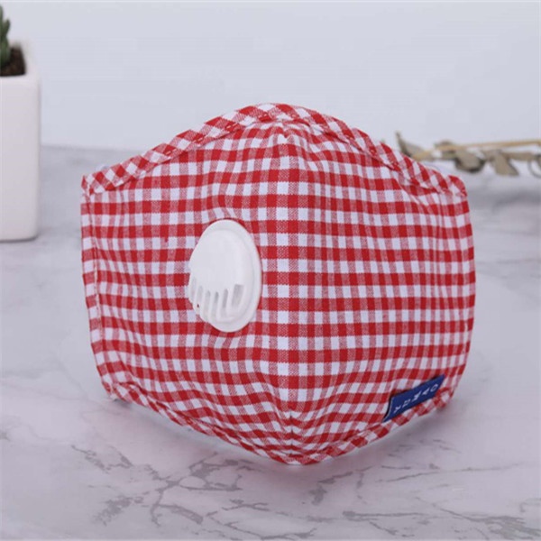 Anti Pollution Washable Face Mask PM2.5 Reusable Cloth Face Mask