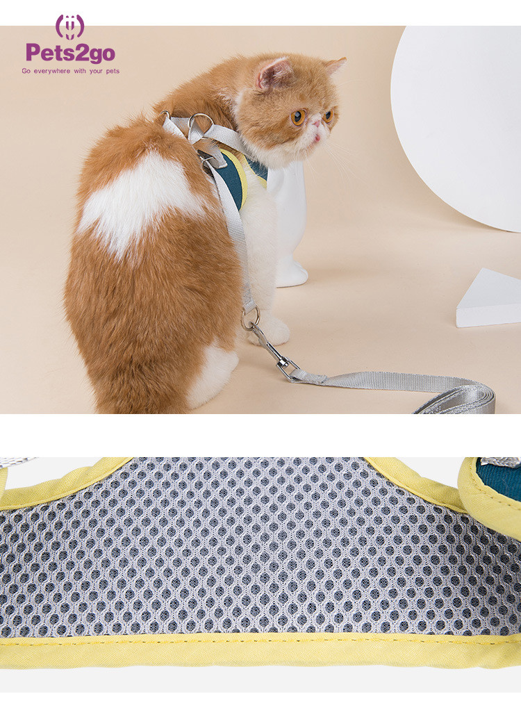 Adventure Cat Harness Best Dog Harness For Medium Dogs Cute Dog Harness And Leash