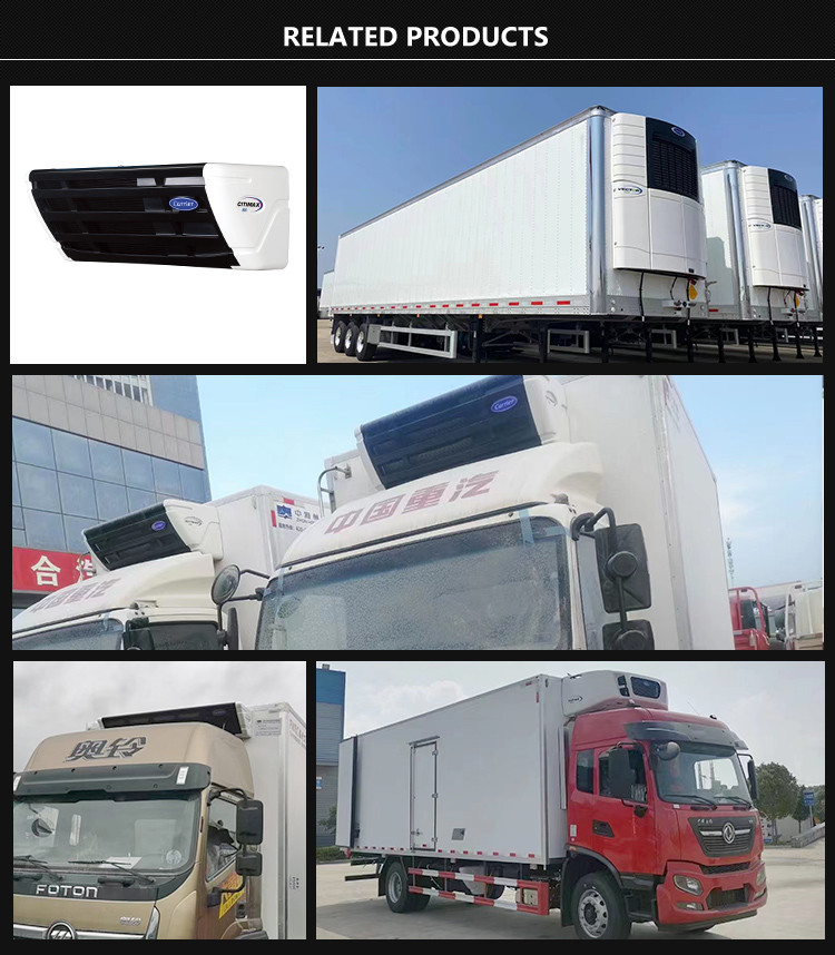 QINGLING M100 Refrigerated Truck For Food Meat Fish Transportation Freezer Carrier Citimax 500+ Refrigeration Unit