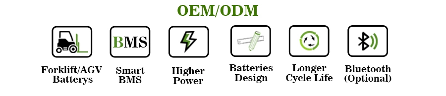Cts Rechargeable 48V200ah 280ah 300ah LiFePO4 Lithium Ion Battery with Bluetooth for Agv Forklift