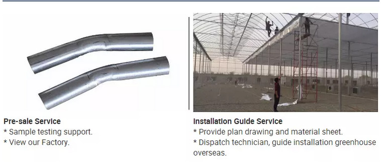 High Output PC Sheet Greenhouse Nine Systems Combined For Flower Growing