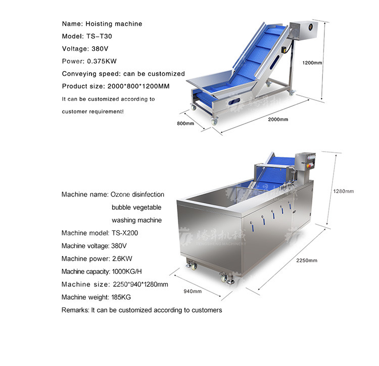 SS Fruit And Vegetable Hair Roller Bubble Cleaning Machine 800KG/H