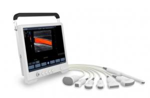 China CE approved gynecology cardiac pregnancy Digital laptop Color scanner Doppler Portable 4D Ultrasound Machine on sale