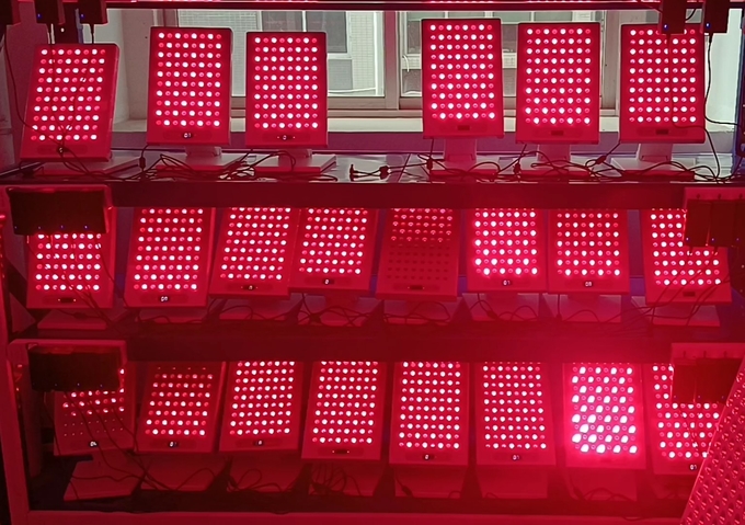 Portable Infrared Red LED Light Therapy Device 660nm 850nm 300W With Stand